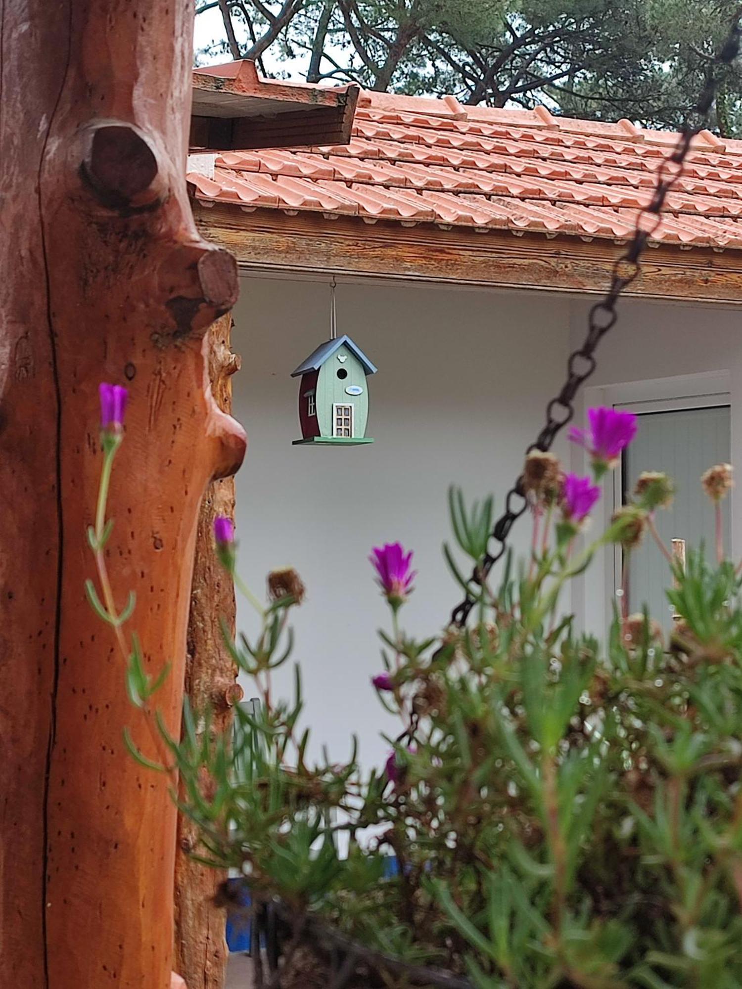 Casinha Do Pinhal Villa Colares Exterior photo